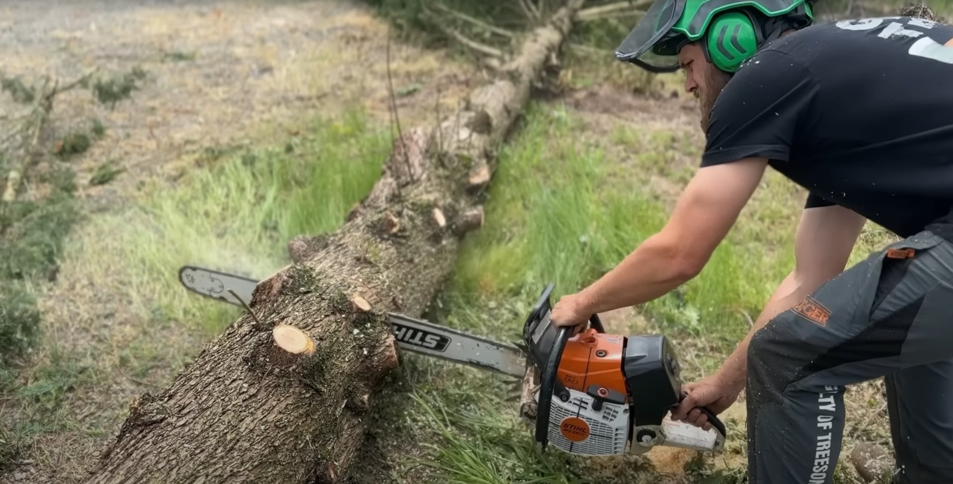 Expert tree cutting and trimming services by certified professionals Professional arborist performing precise tree cutting with chainsaw
