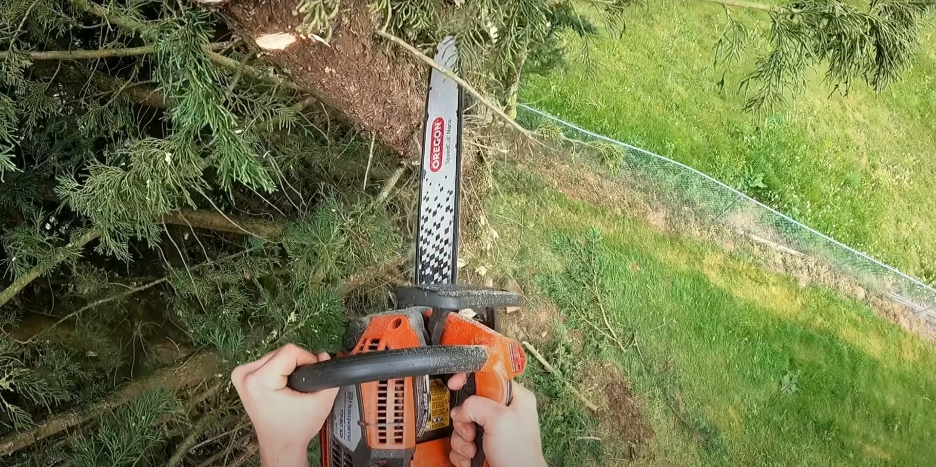 Precision tree pruning and trimming using professional-grade tools Chainsaw being used for professional tree trimming and pruning work