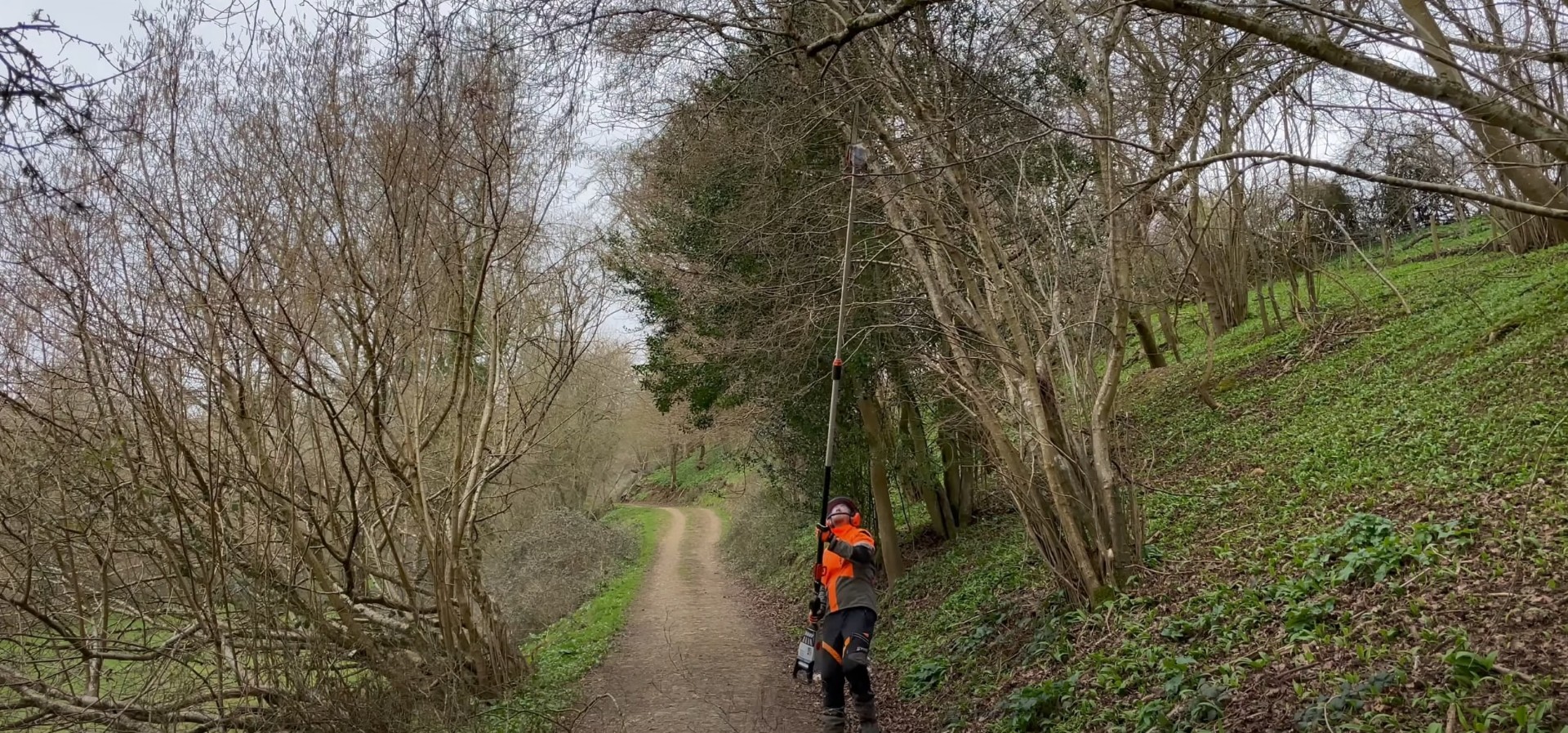 Professional tree care techniques in natural setting Professional arborist working safely in wooded area