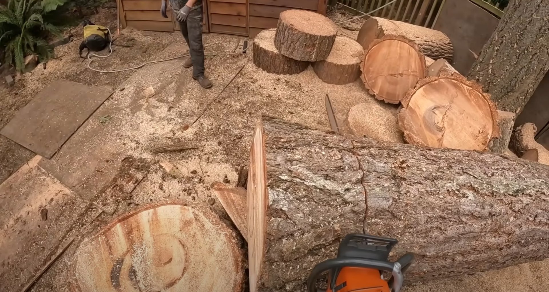 Professional tree service equipment and finished work Tree service work area with equipment and cut logs
