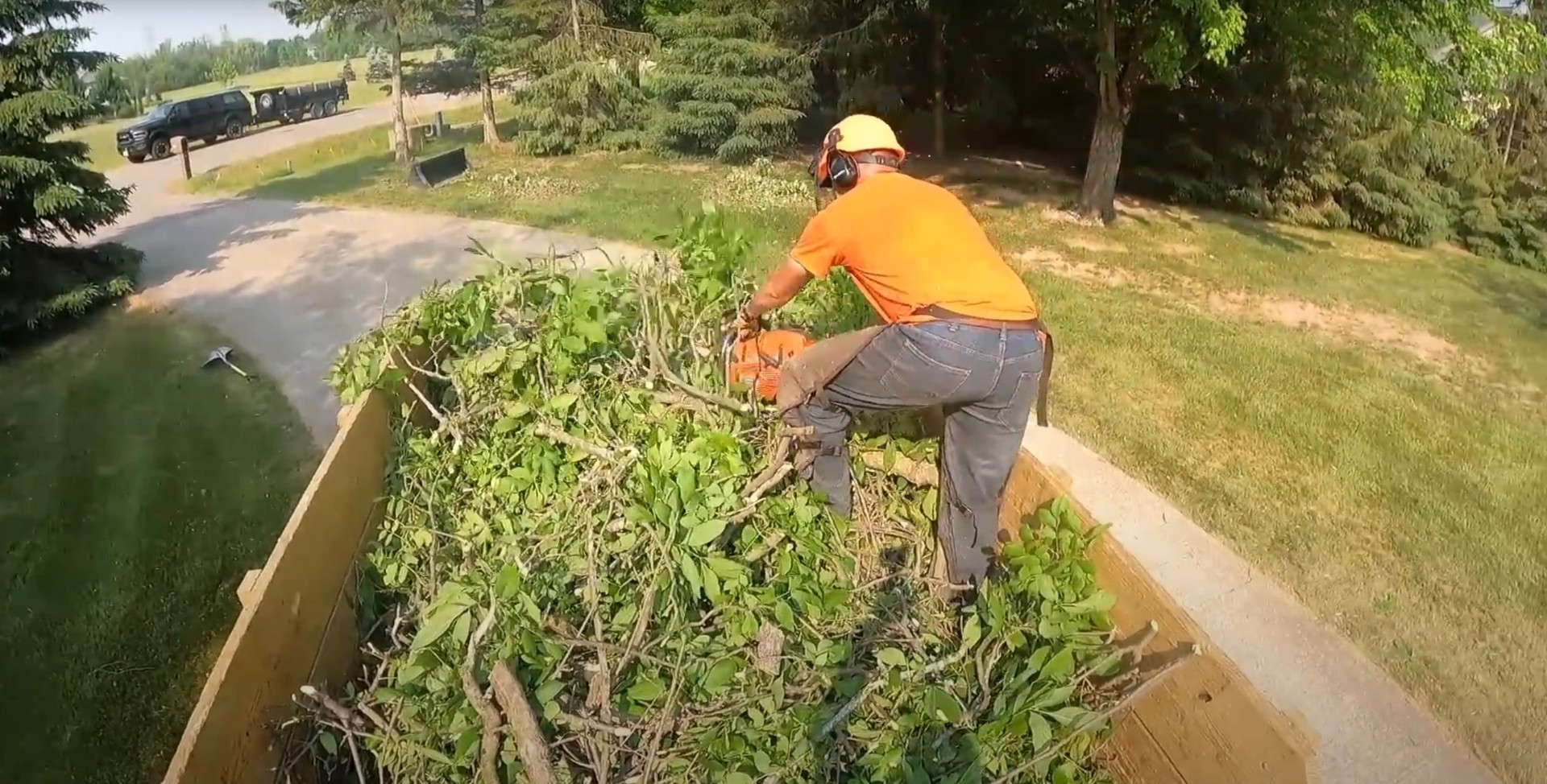 Complete vegetation management and shrub trimming services Tree service professional performing shrub and vegetation management
