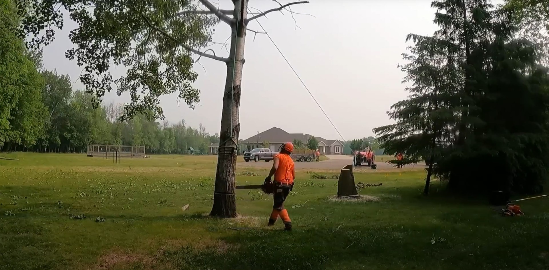 Professional tree removal services in public spaces with full safety protocols Professional tree removal work in park setting with safety equipment