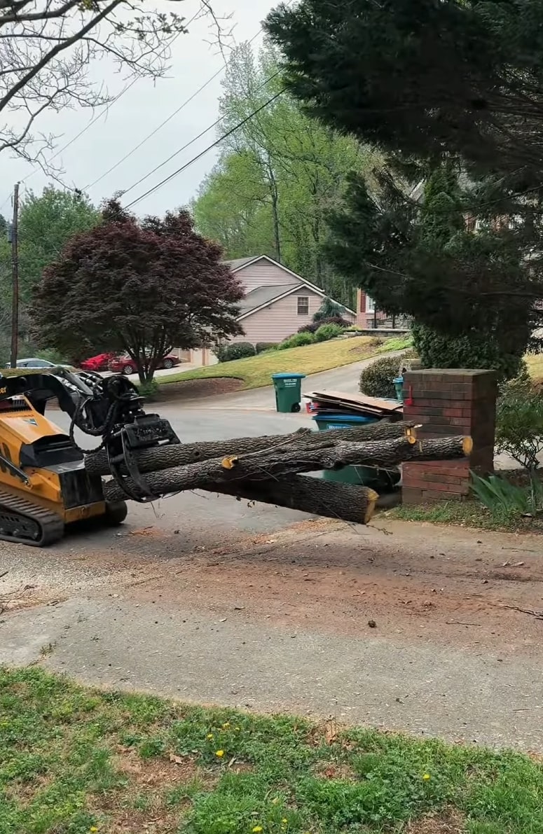 Safe residential tree removal using state-of-the-art machinery Tree removal work in residential neighborhood with specialized equipment
